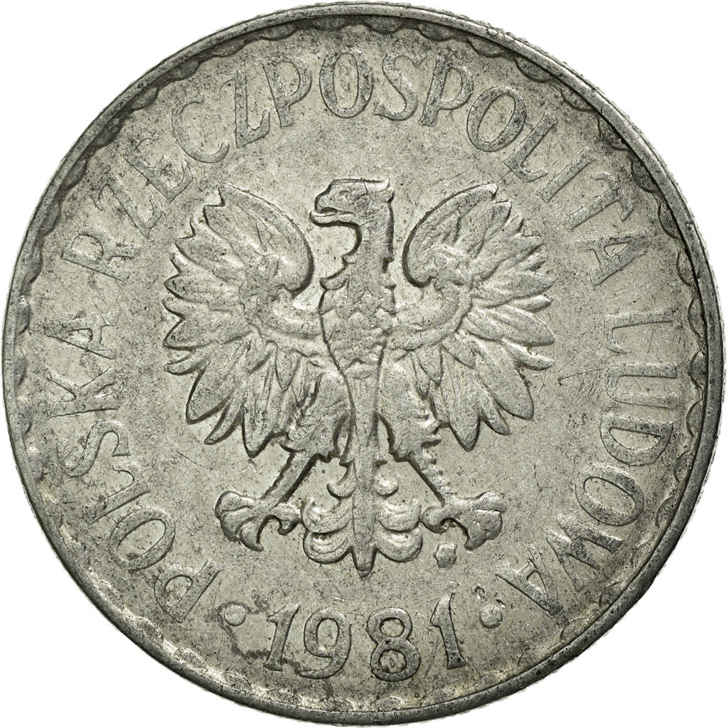 Coin, Poland, Zloty, 1981, Warsaw, EF(40-45), Aluminum, KM:49.1