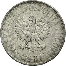 Coin, Poland, Zloty, 1981, Warsaw, EF(40-45), Aluminum, KM:49.1