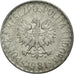 Coin, Poland, Zloty, 1981, Warsaw, EF(40-45), Aluminum, KM:49.1