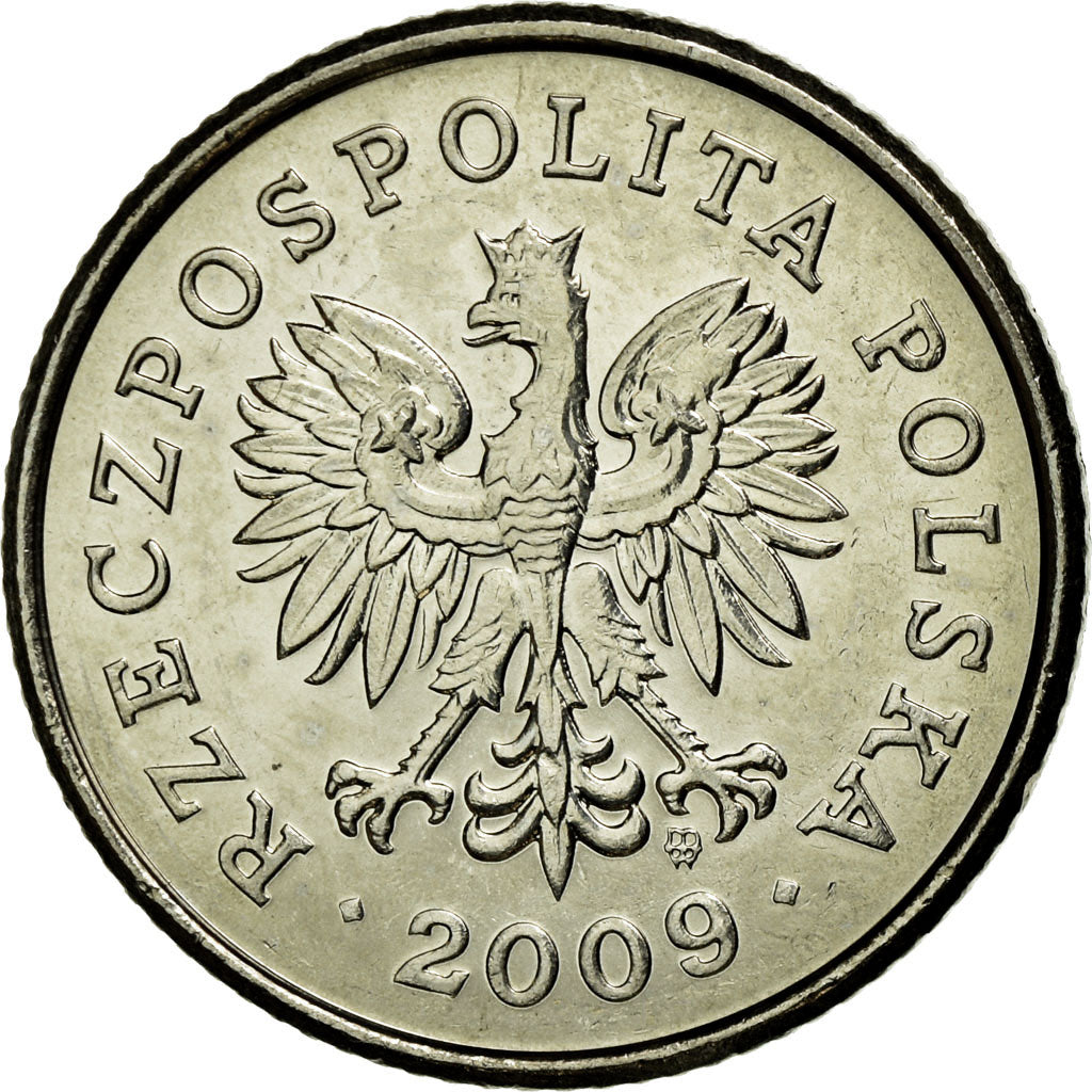 Monnaie, Pologne, 50 Groszy, 2009, Warsaw, SUP+, Copper-nickel, KM:281