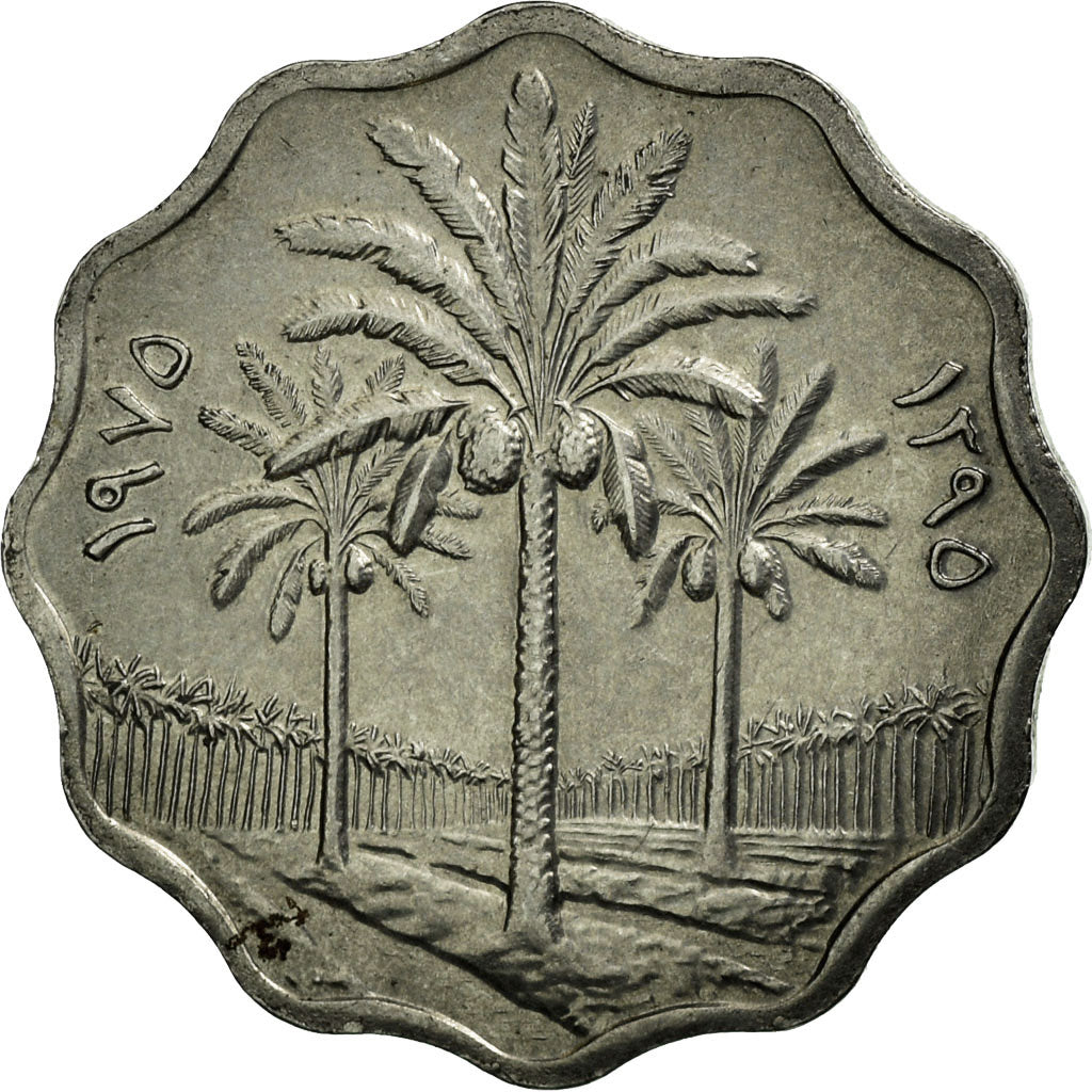 Coin, Iraq, 5 Fils, 1975, EF(40-45), Stainless Steel, KM:141