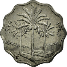 Coin, Iraq, 5 Fils, 1975, EF(40-45), Stainless Steel, KM:141