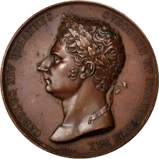 Sweden, Medal, Politics, Society, War, AU(55-58), Bronze