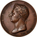 Sweden, Medal, Politics, Society, War, AU(55-58), Bronze