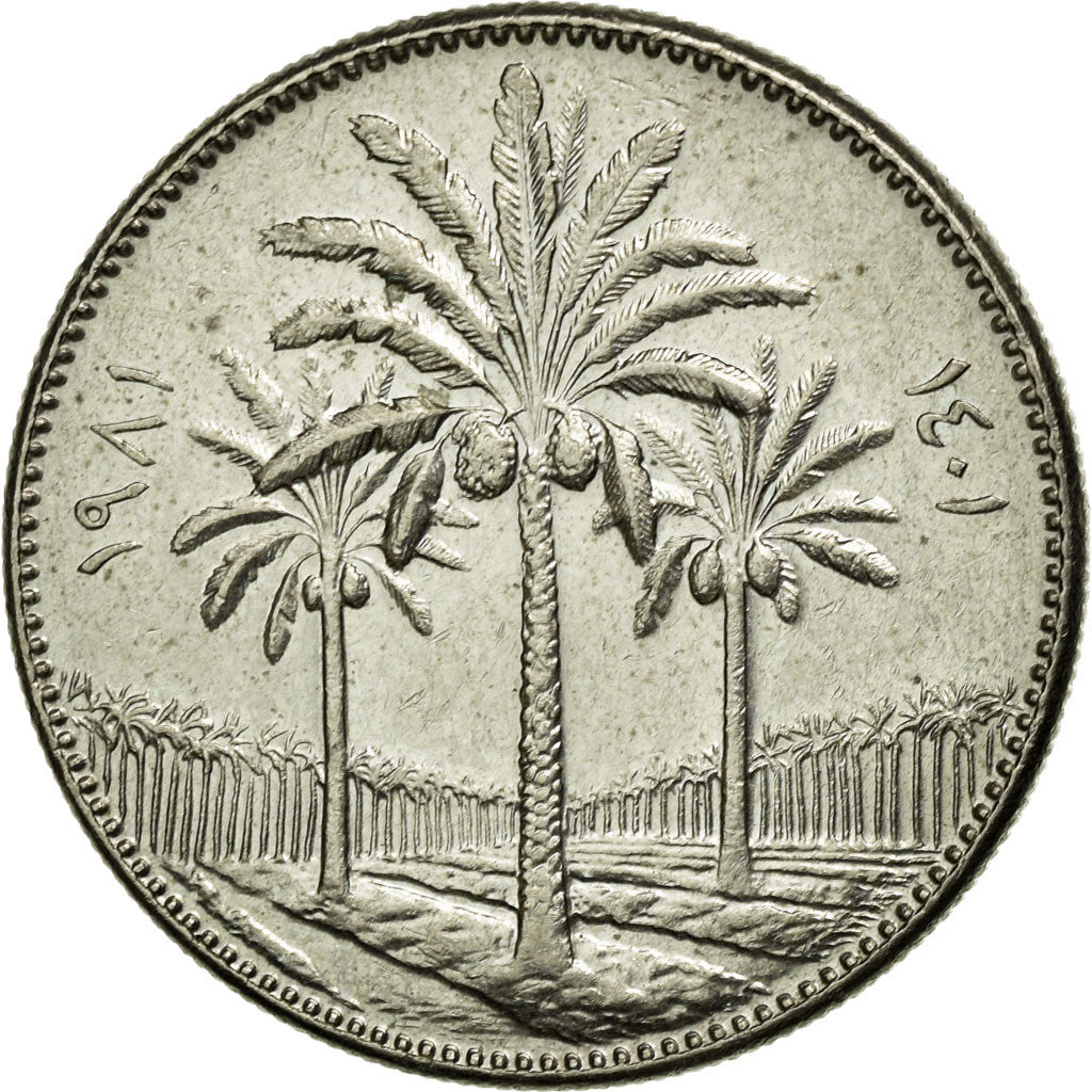 Coin, Iraq, 50 Fils, 1981, EF(40-45), Copper-nickel, KM:128