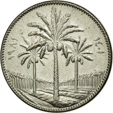Coin, Iraq, 50 Fils, 1981, EF(40-45), Copper-nickel, KM:128