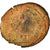 Coin, Claudius II (Gothicus), Antoninianus, VF(20-25), Billon, Cohen:129