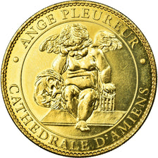 France, Token, Touristic token, Ange Pleureur, Cathédrale d'Amiens, 2010