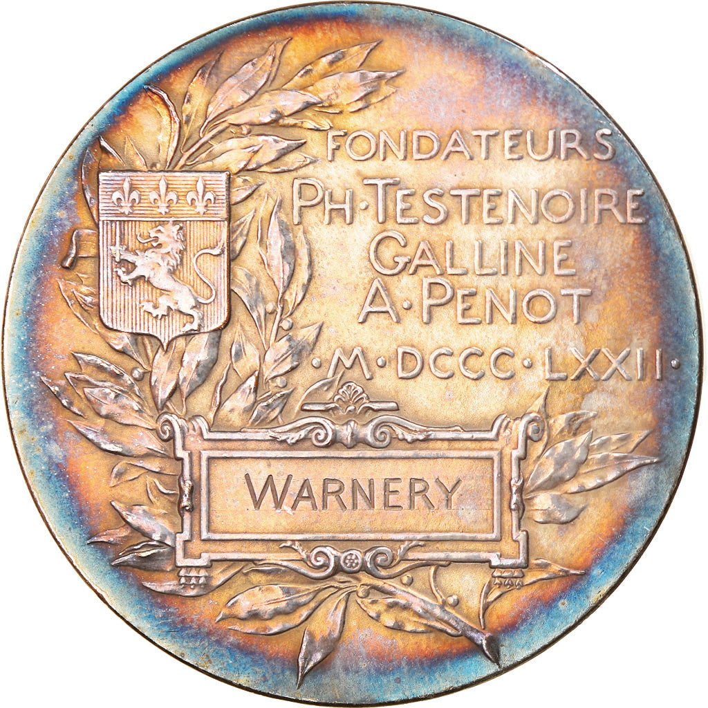 France, Medal, Ecole Supérieure de Commerce de Lyon, 1872, Patey, AU(55-58)