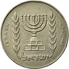 Münze, Israel, 1/2 Lira, 1964, Tel Aviv, SS, Copper-nickel, KM:36.1