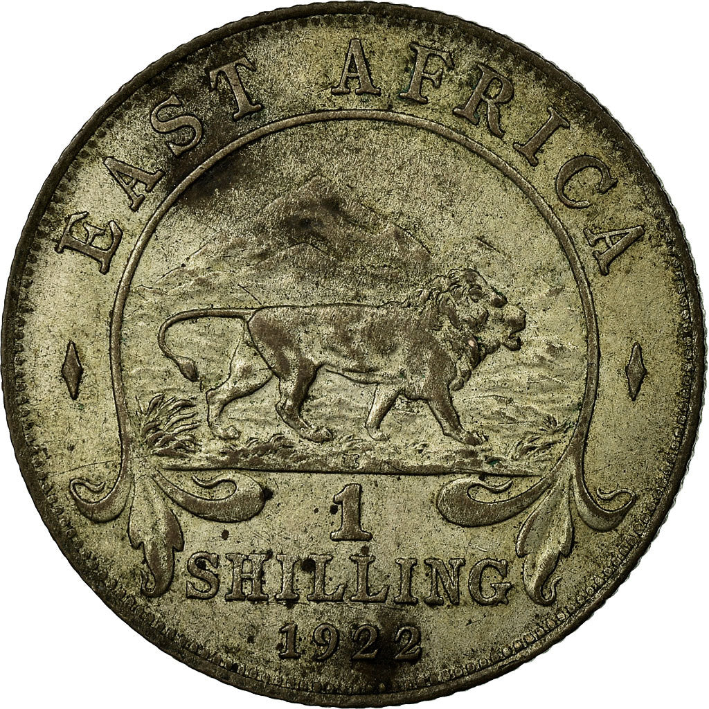 Coin, EAST AFRICA, George V, Shilling, 1922, F(12-15), Silver, KM:21