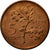 Moeda, Turquia, 5 Kurus, 1960, EF(40-45), Bronze, KM:890.1