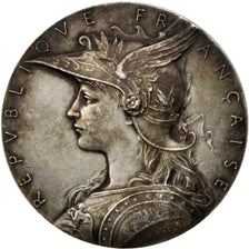 FRANCE, Politics, Society, War, French Fifth Republic, Medal, AU(55-58),...