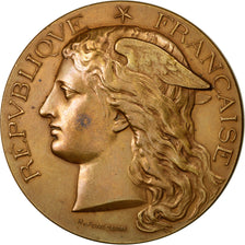 FRANCE, Medicine, French Third Republic, Medal, AU(55-58), Bronze, 51, 61.70