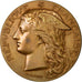 FRANCE, Medicine, French Third Republic, Medal, AU(55-58), Bronze, 51, 61.70