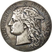 Francia, Medal, French Third Republic, Medicine, EBC, Plata