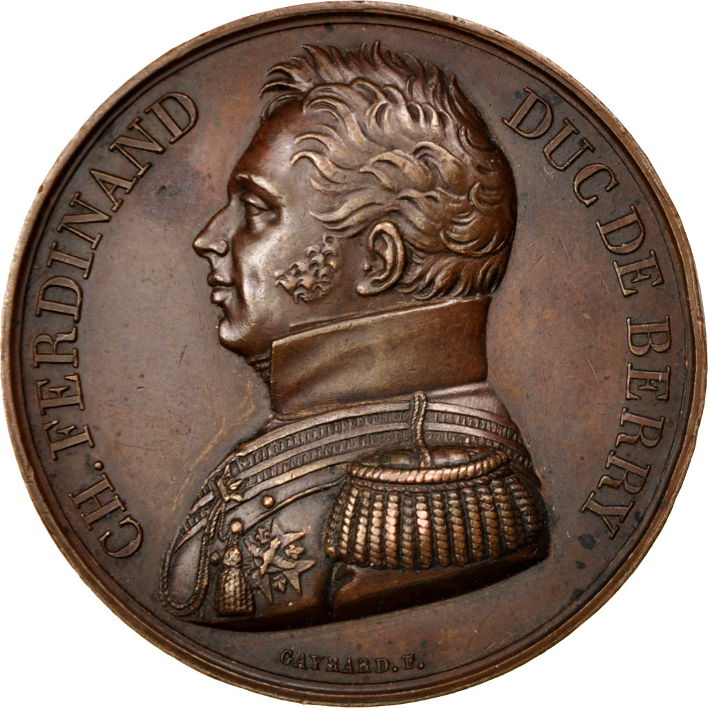 France, Medal, Louis XVIII, History, Gayrard, SUP, Bronze