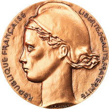 France, Médaille, Paris - Le Sénat, Politics, Society, War, Belmondo, SPL