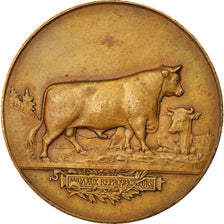 França, Medal, Concours Agricole de la Brenne à Rosnay, Reproducteurs, 1909