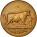 França, Medal, Concours Agricole de la Brenne à Rosnay, Reproducteurs, 1909