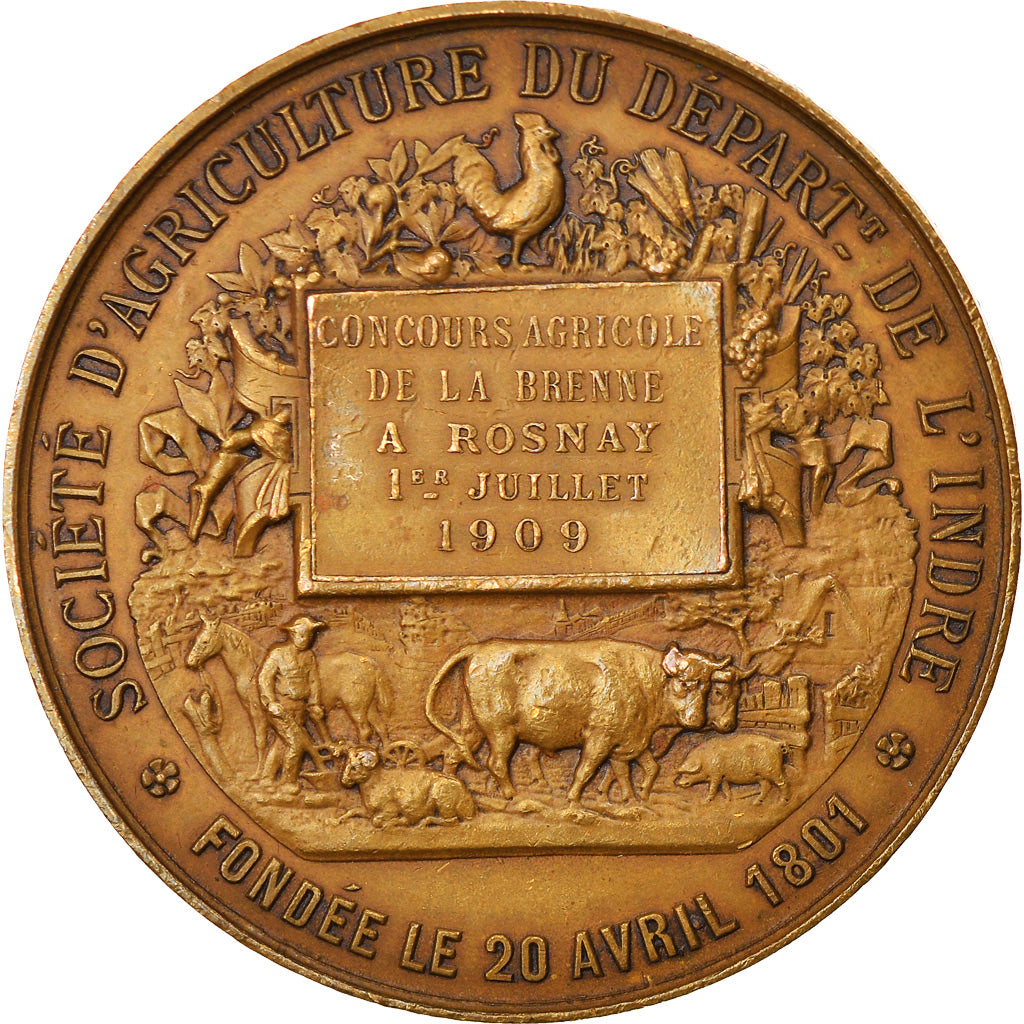 França, Medal, Concours Agricole de la Brenne à Rosnay, Reproducteurs, 1909