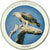 Moeda, Maláui, Birds of prey, 10 Kwacha, 2010, MS(65-70), Silver plated