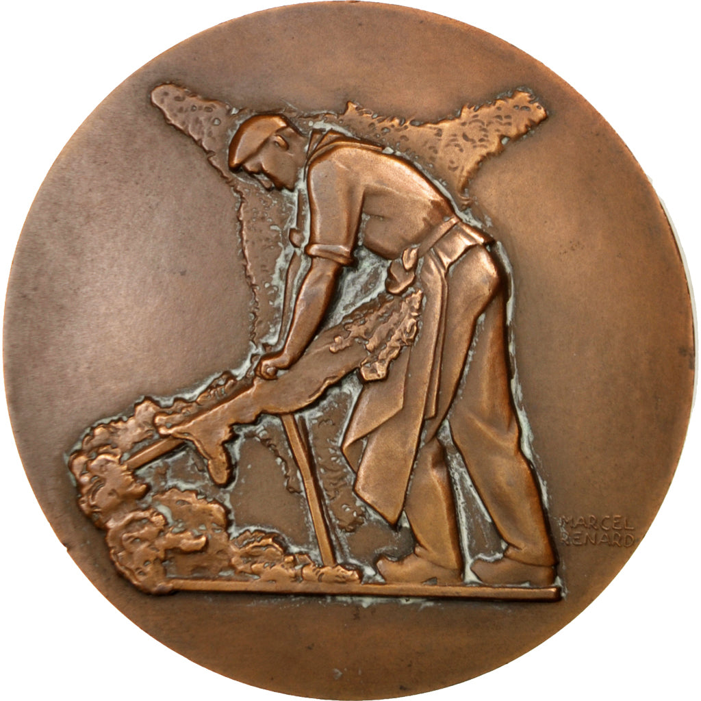 France, Medal, French Fourth Republic, Business & industry, Renard, TTB+, Bronze