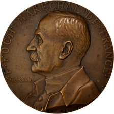 Foch, Maréchal de France, Signature de l'Armistice, Médaille