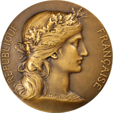 FRANCE, French Third Republic, Medal, AU(55-58), Dupuis.D, Bronze, 50, Daniel...