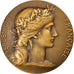FRANCE, French Third Republic, Medal, AU(55-58), Dupuis.D, Bronze, 50, Daniel...