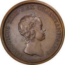 France, Medal, Louis XIV, History, Mauger, AU(55-58), Bronze, Divo:10