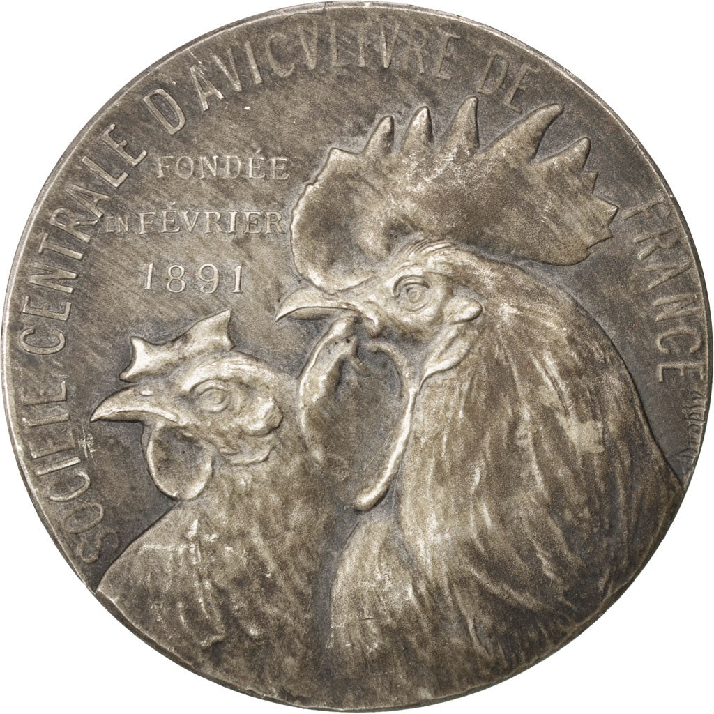 Francia, Medal, French Third Republic, Business & industry, Dropsy, SPL-, Arg...