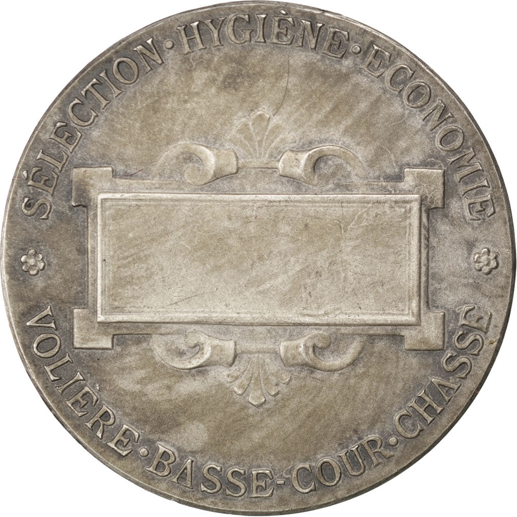 Francia, Medal, French Third Republic, Business & industry, Dropsy, SPL-, Arg...