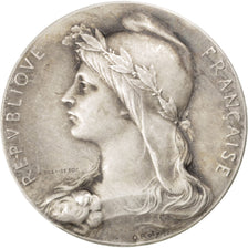 France, Medal, French Third Republic, Medicine, Roty, AU(55-58), Silver