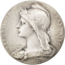 France, Medal, French Third Republic, Medicine, Roty, AU(50-53), Silver