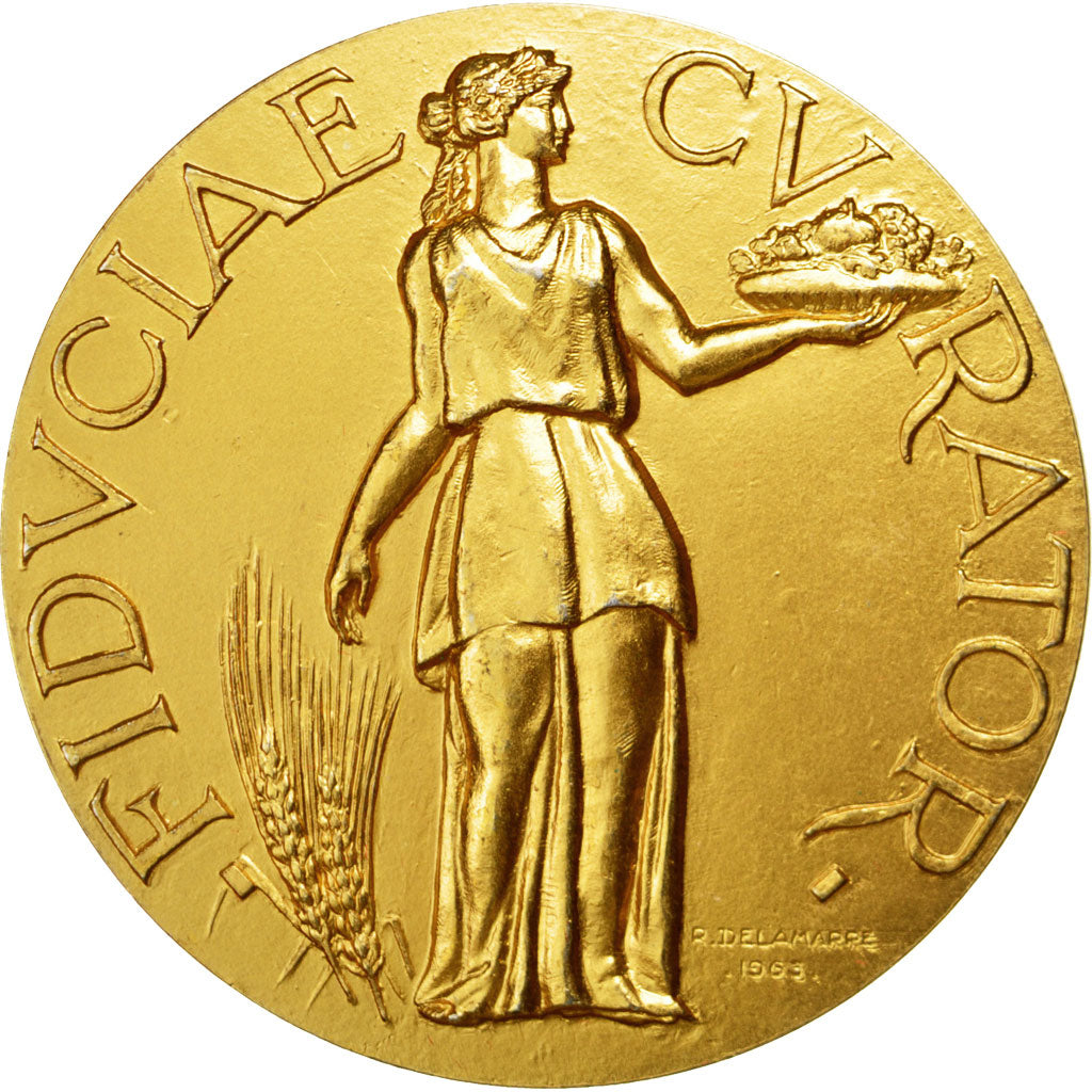 France, Medal, French Fifth Republic, Business & industry, Delamarre, AU(55-58)