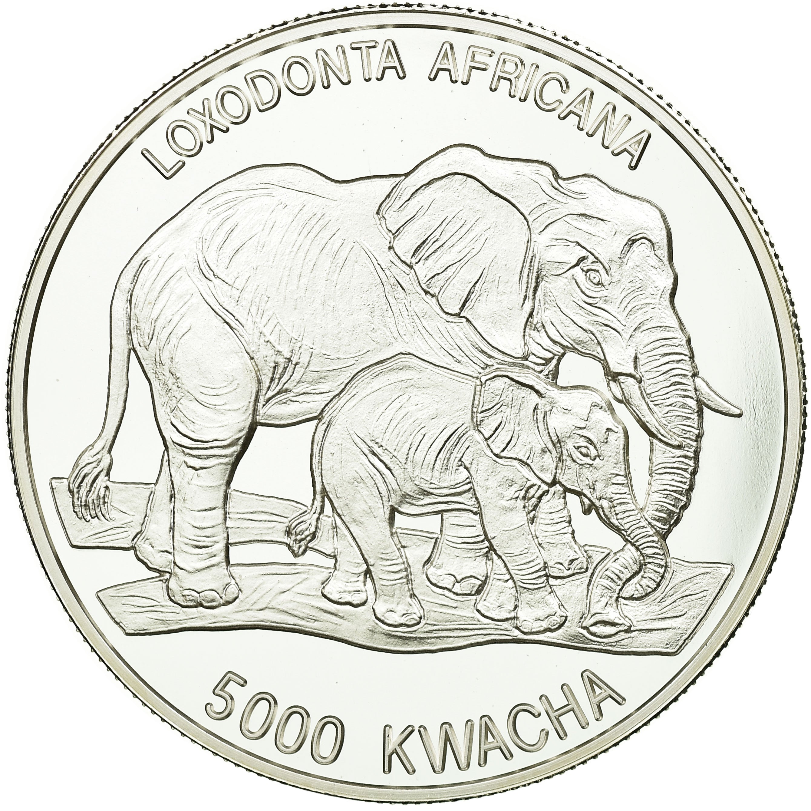 Moneda, Zambia, 5000 Kwacha, 1999, British Royal Mint, FDC, Plata, KM:92