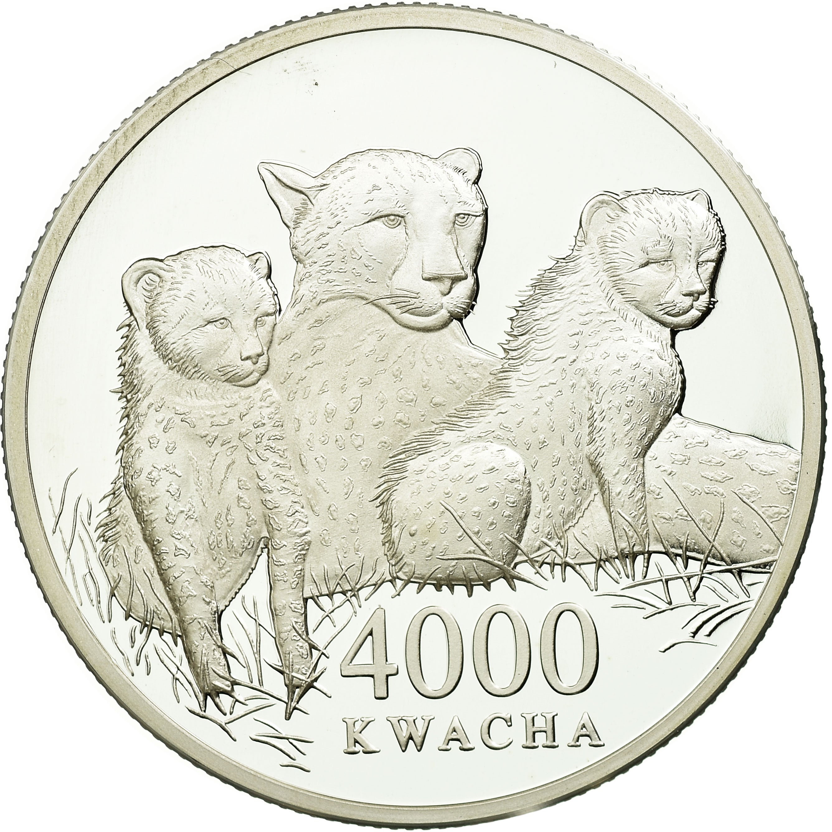 Coin, Zambia, 4000 Kwacha, 2000, British Royal Mint, MS(65-70), Silver, KM:158