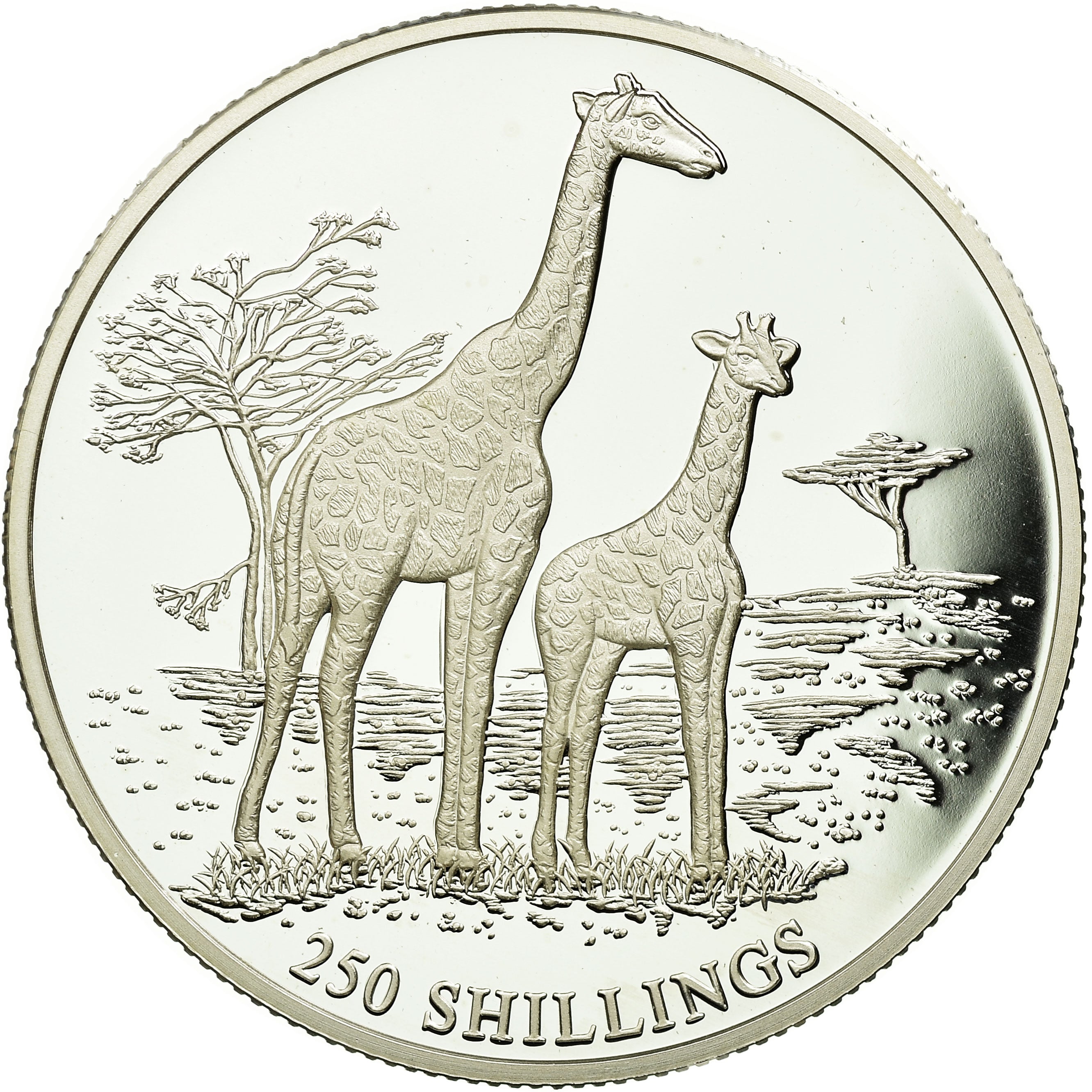 Coin, Somalia, 250 Shillings, 1999, MS(65-70), Silver, KM:105