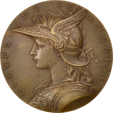 FRANCE, Politics, Society, War, French Third Republic, Medal, AU(50-53), Roty,..