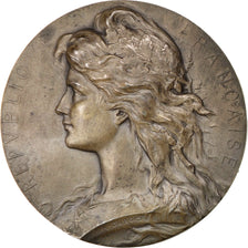 FRANCE, Politics, Society, War, French Third Republic, Medal, AU(50-53),...