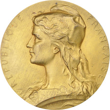 FRANCE, Politics, Society, War, French Third Republic, Medal, AU(55-58),...