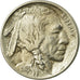 Coin, United States, Buffalo Nickel, 5 Cents, 1913, U.S. Mint, Philadelphia