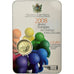 San Marino, 2 Euro, Année européenne du dialogue interculturel, 2008