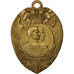 France, Medal, French Third Republic, History, TTB+, Bronze
