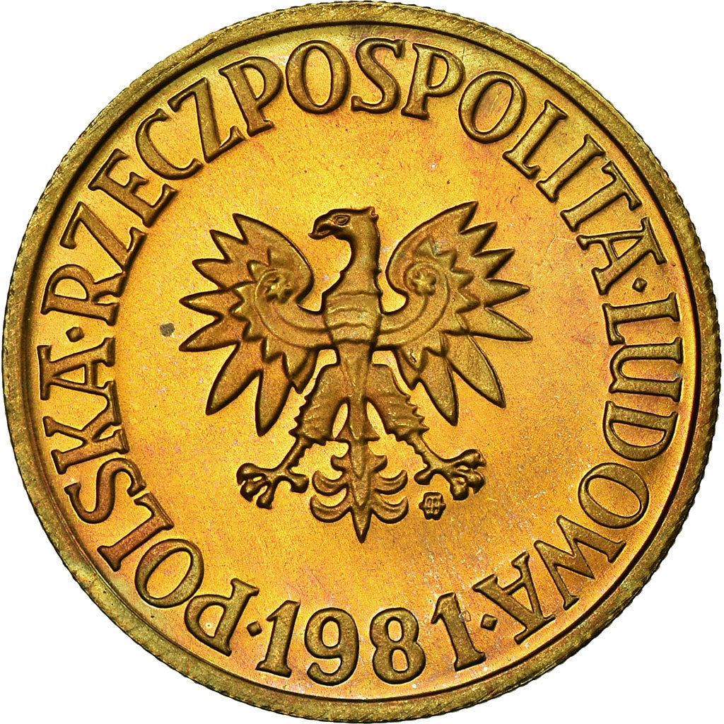 Moneta, Polonia, 5 Zlotych, 1981, Warsaw, FDC, Ottone, KM:81.1