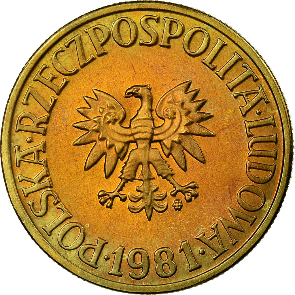 Coin, Poland, 5 Zlotych, 1981, Warsaw, MS(65-70), Brass, KM:81.1