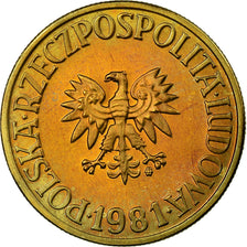 Coin, Poland, 5 Zlotych, 1981, Warsaw, MS(65-70), Brass, KM:81.1