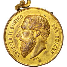 Belgium, Arts & Culture, Medal, AU(50-53), Bronze, 51, 48.40