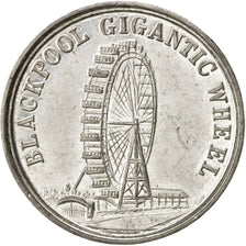 Grande-roue de Blackpool, Médaille